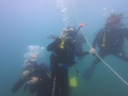 immersioni-estate22 13